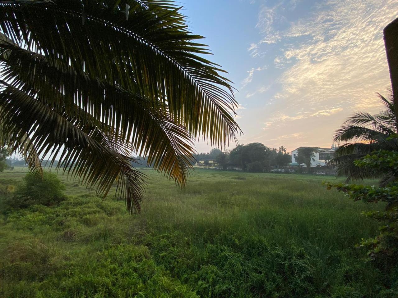 Green Field View Hotel Candolim Exterior photo